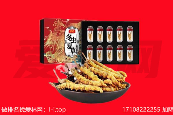 乌鲁木齐新市区回收虫草.jpg